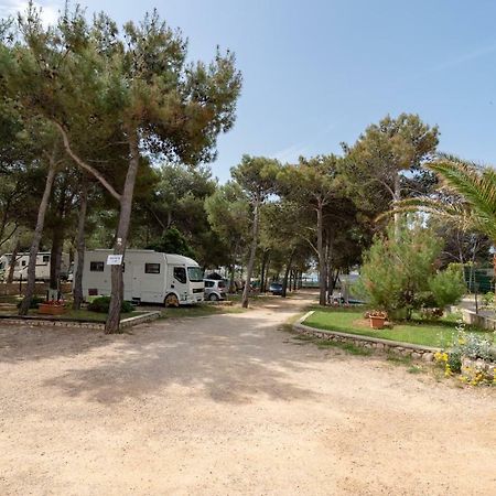 Hôtel Camp Porat à Povljana Extérieur photo