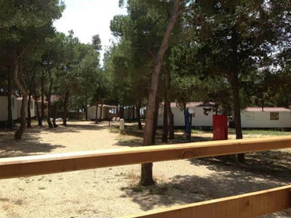 Hôtel Camp Porat à Povljana Extérieur photo